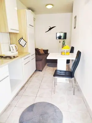 Kuhinja ili čajna kuhinja u objektu Apartmani Ruža