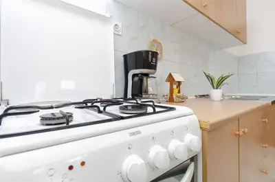 Kuhinja ili čajna kuhinja u objektu Apartments Mila Family with pool