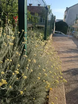 Vrt u objektu Lovelysuite Šibenik