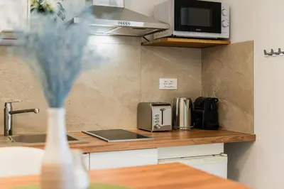 Kuhinja ili čajna kuhinja u objektu Apartment Adam