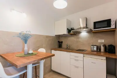 Kuhinja ili čajna kuhinja u objektu Apartment Adam