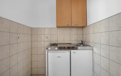 Kuhinja ili čajna kuhinja u objektu 1 Bedroom Stunning Apartment In Betina