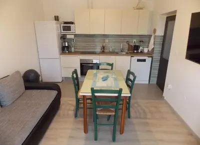 Kuhinja ili čajna kuhinja u objektu Apartman Činpiko