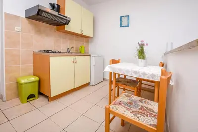 Kuhinja ili čajna kuhinja u objektu Apartments Antea