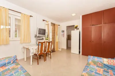 TV i/ili zabavni centar u objektu Apartments Srdan