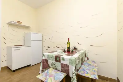 Kuhinja ili čajna kuhinja u objektu Apartments Franciska