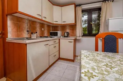 Kuhinja ili čajna kuhinja u objektu Apartments Juric