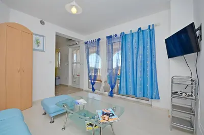TV i/ili zabavni centar u objektu Apartments Branislav