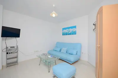 TV i/ili zabavni centar u objektu Apartments Branislav