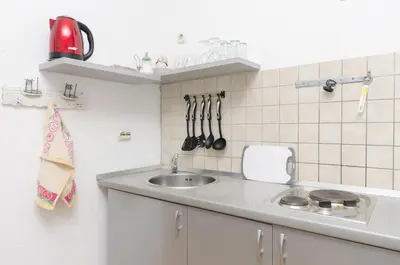 Kuhinja ili čajna kuhinja u objektu Apartments and Rooms Mladen