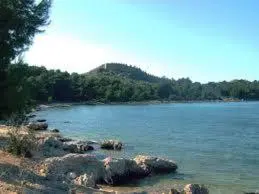 Priroda u blizini apartmana
