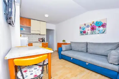 Kuhinja ili čajna kuhinja u objektu Apartments Mijo