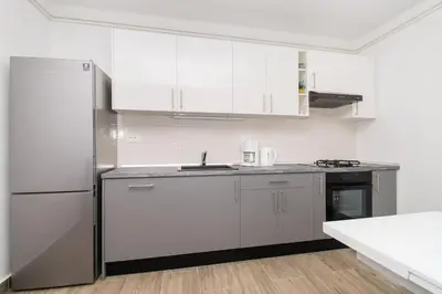 Kuhinja ili čajna kuhinja u objektu Apartments Rada