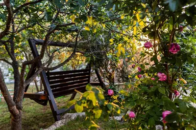 Vrt u objektu Family friendly house with a swimming pool Solaris - Sibenik - 24400