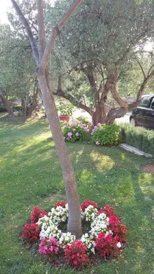 Vrt u objektu Apartment Oaza Mira