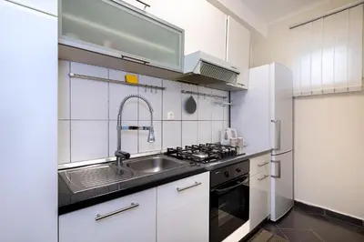 Kuhinja ili čajna kuhinja u objektu Apartman Brodarica Mladenka