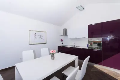 Kuhinja ili čajna kuhinja u objektu Apartments by the sea Tribunj, Vodice - 24102
