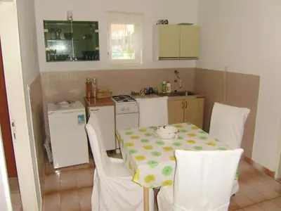 Kuhinja ili čajna kuhinja u objektu Apartment Kosor