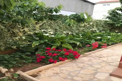 Vrt u objektu Apartments Villa Sarajevo - Two Bedroom Apartment with Terrace and Balcony
