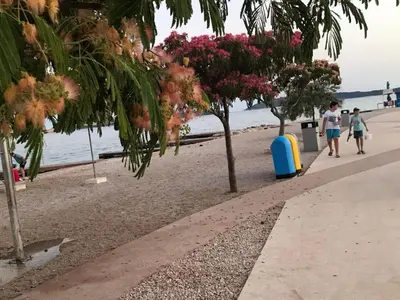 Priroda u blizini apartmana
