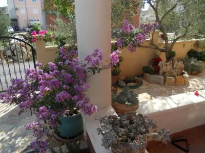 Vrt u objektu Apartments Dea & Paula - Classic Two Bedroom Apartment with Terrace
