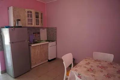 Kuhinja ili čajna kuhinja u objektu Apartmani Autocamp Panorama