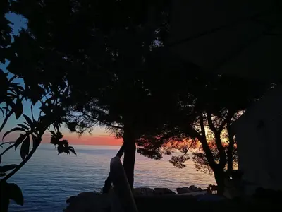 Priroda u blizini apartmana