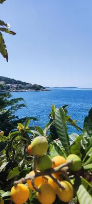 Priroda u blizini apartmana