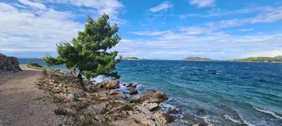 Priroda u blizini vikendica