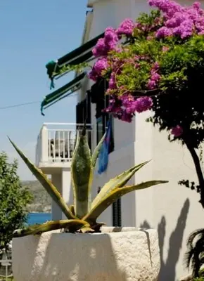 Vrt u objektu 3 bedroom Apartment on the sea with garden