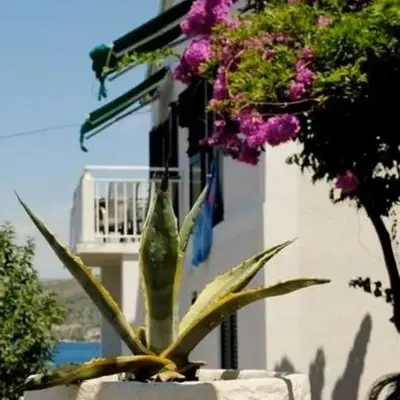 3 bedroom Apartment on the sea with garden