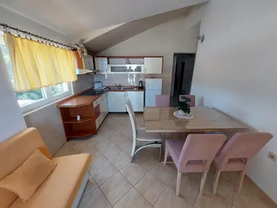 Kuhinja ili čajna kuhinja u objektu Guest house Primo Lusic