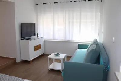 TV i/ili zabavni centar u objektu Apartments Ivana