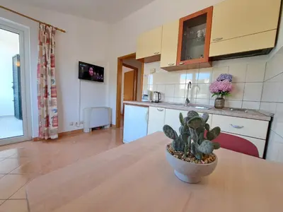 Kuhinja ili čajna kuhinja u objektu Apartmani Karmen