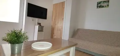 TV i/ili zabavni centar u objektu Apartman Mare