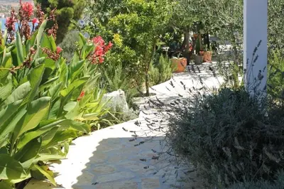 Vrt u objektu Apartments by the sea Sparadici, Sibenik - 24420