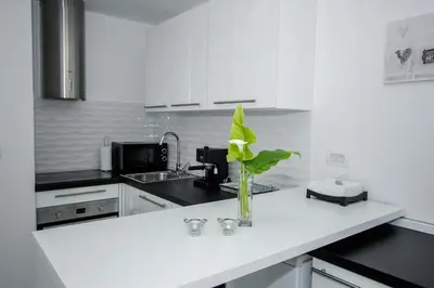 Kuhinja ili čajna kuhinja u objektu Luxury Studio Apartment White Sensation