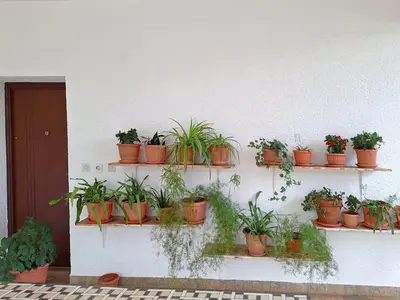 Tlocrt objekta Apartments Flower terrace