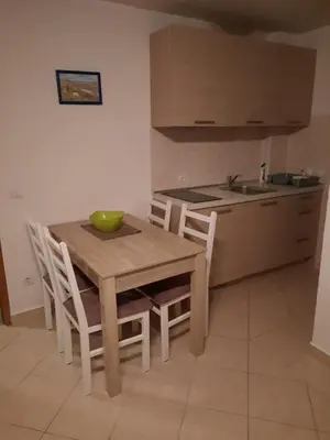 Kuhinja ili čajna kuhinja u objektu Apartments Miletic J-I