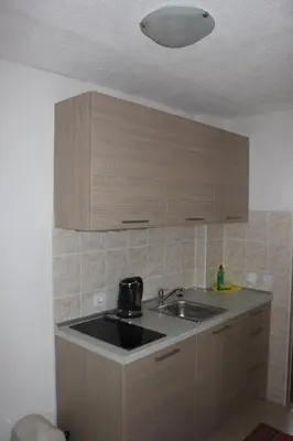 Kuhinja ili čajna kuhinja u objektu Apartments Miletic J-I