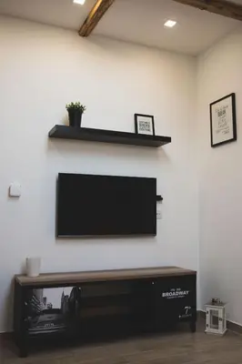 TV i/ili zabavni centar u objektu Apartments Sunny Garden