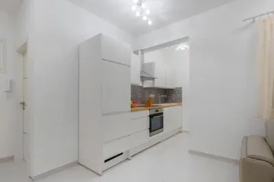 Kuhinja ili čajna kuhinja u objektu Apartment Royal