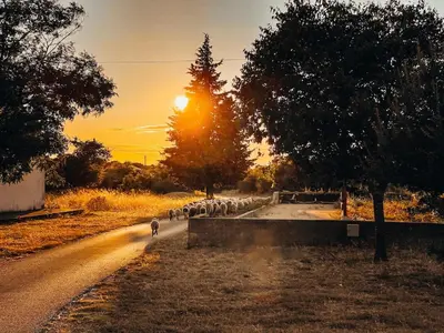 Pogled na izlazak ili zalazak sunca iz vikendica