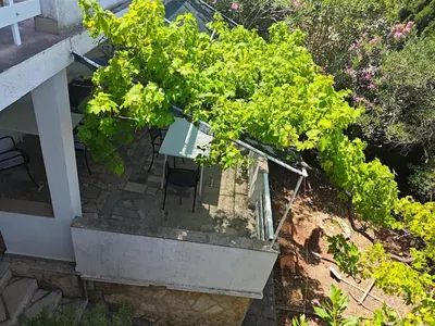 Vrt u objektu Lucy's place