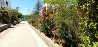 Priroda u blizini apartmana