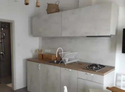 Kuhinja ili čajna kuhinja u objektu Modern Beachfront Apartments near Šibenik