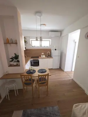 Kuhinja ili čajna kuhinja u objektu Apartmani Borovac Šparadići