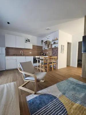 Kuhinja ili čajna kuhinja u objektu Apartmani Borovac Šparadići