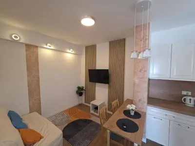 TV i/ili zabavni centar u objektu Apartmani Borovac Šparadići