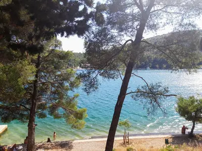 Priroda u blizini apartmana